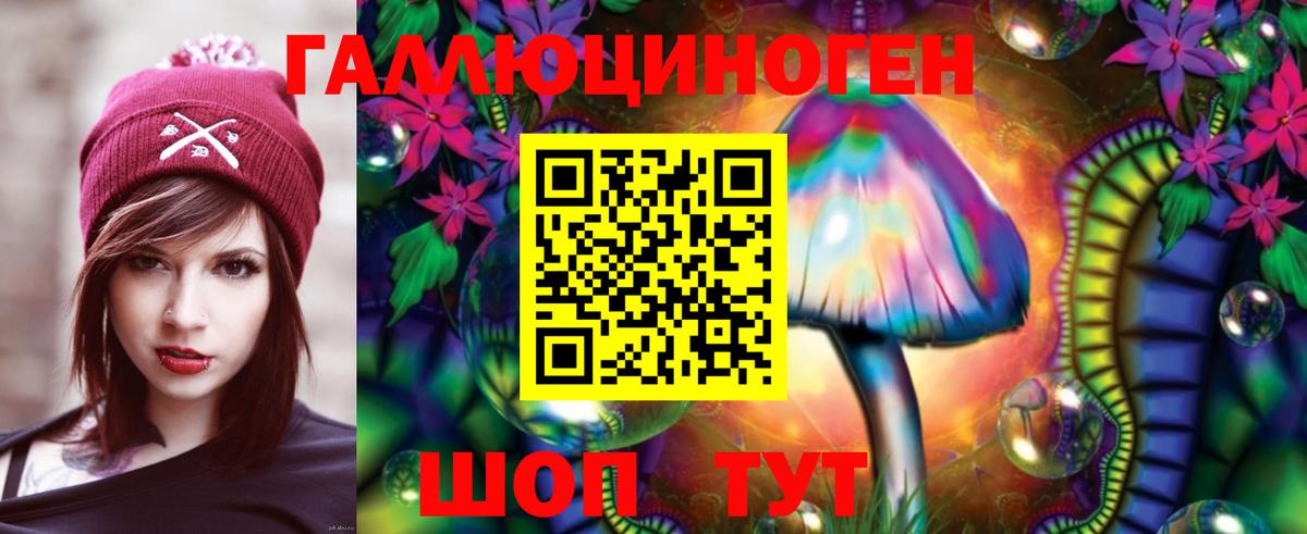 Псилоцибиновые грибы прущие грибы  Вход с VPN  Клинцы 