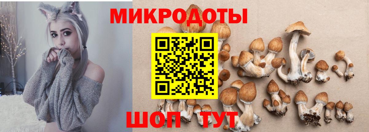 Псилоцибиновые грибы ЛСД Клинцы